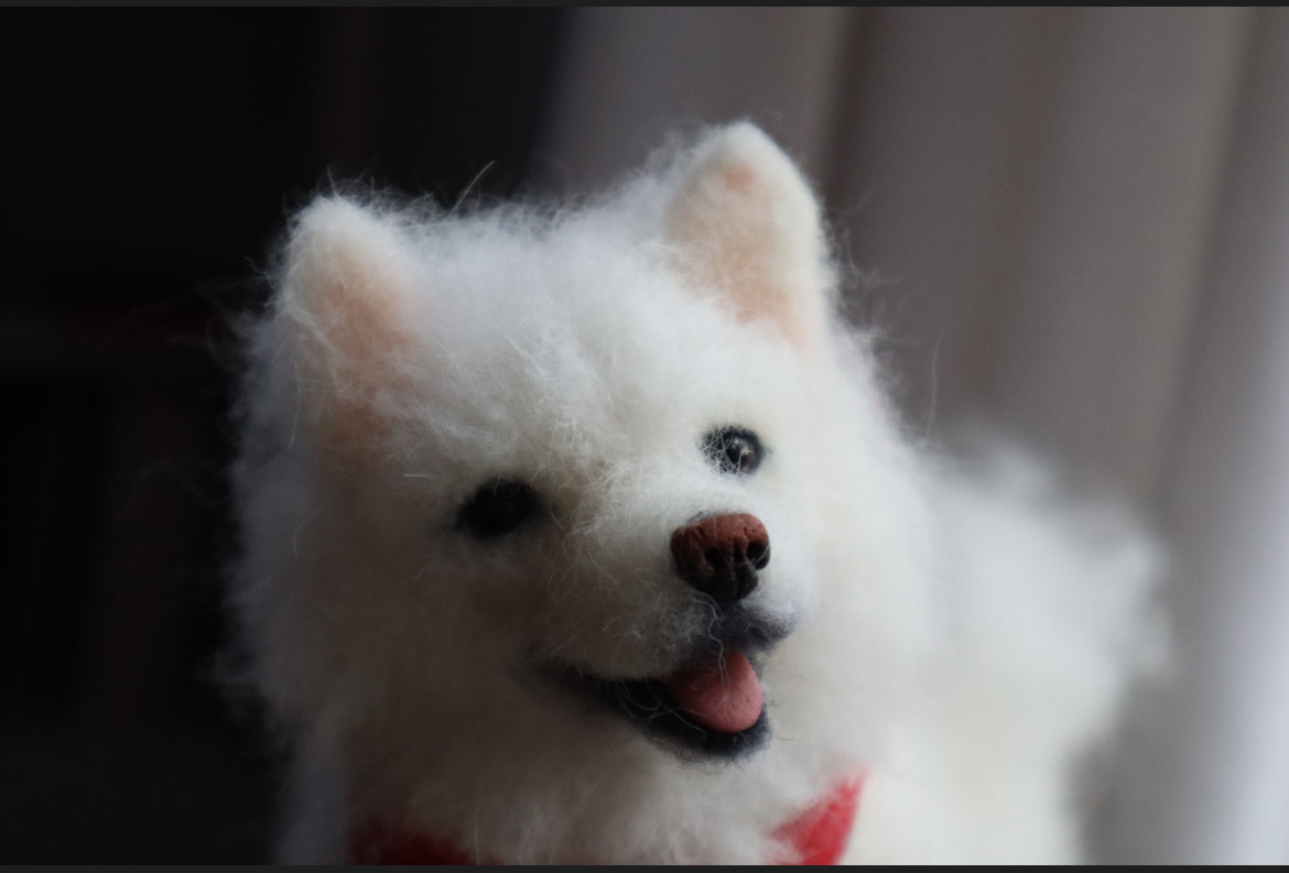Custom Little Wool Dogs