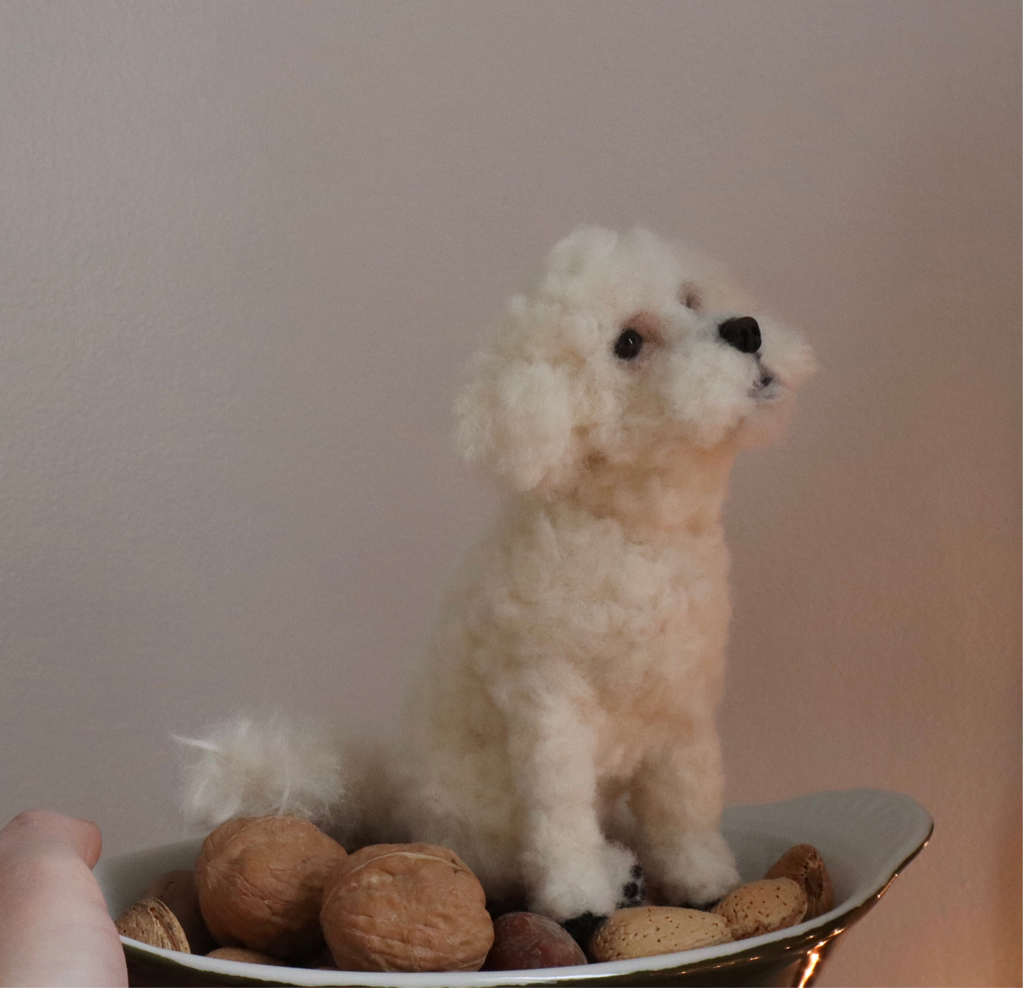 Custom Little Wool Dogs