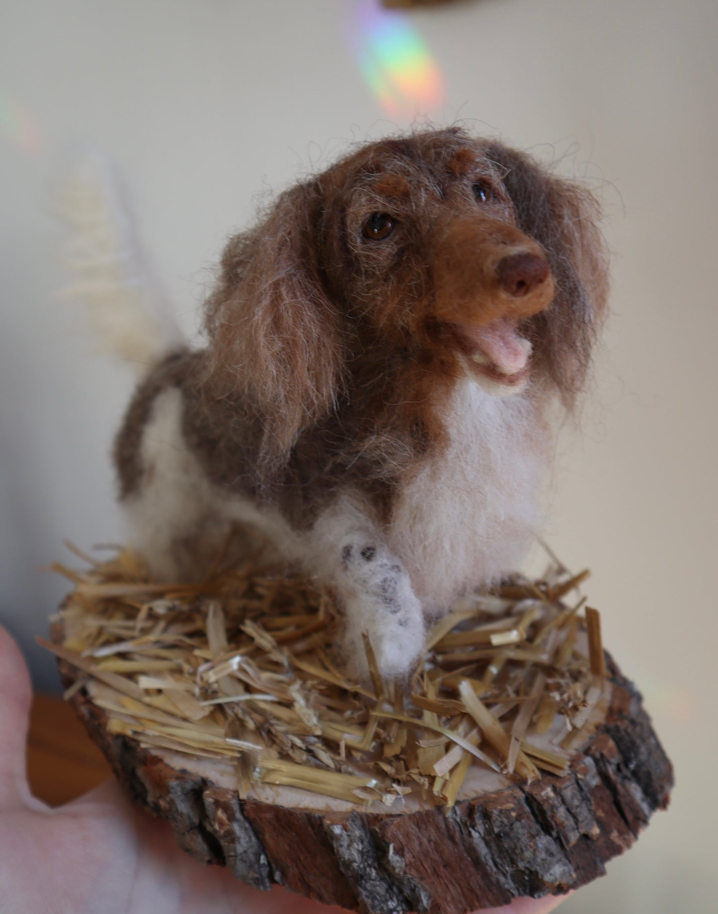 Custom Little Wool Dogs