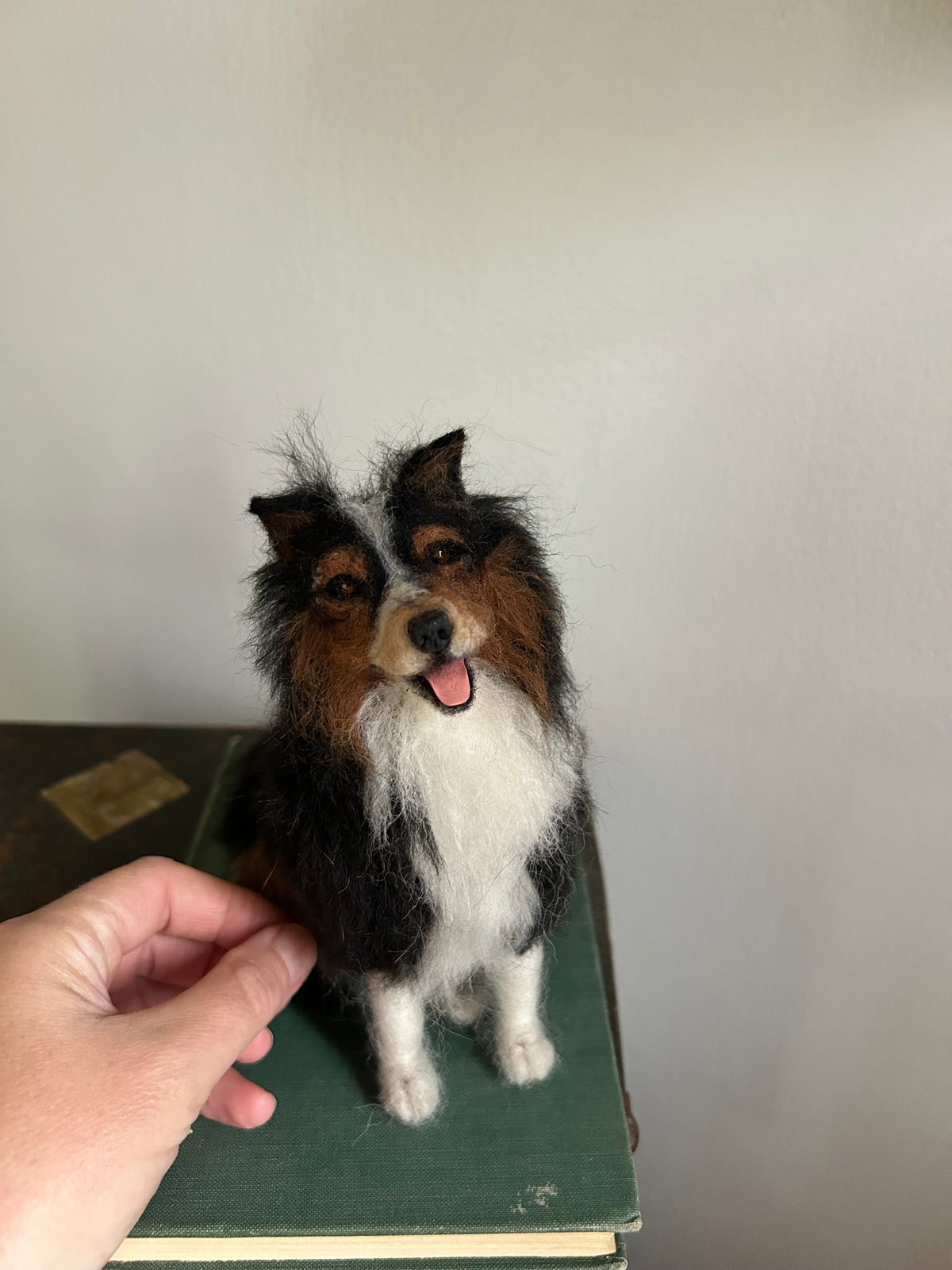 Custom Little Wool Dogs